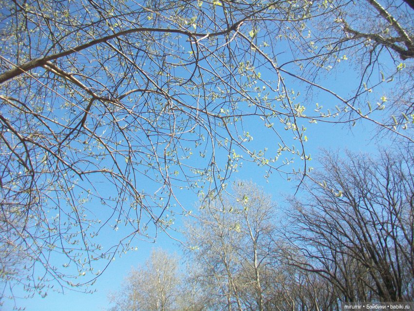 Апрельская прогулка в парке