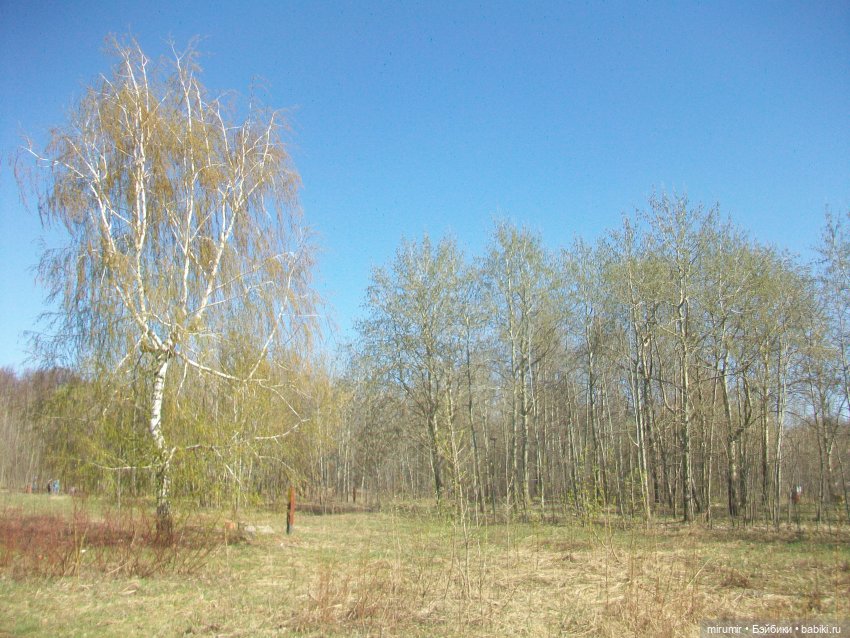 Апрельская прогулка в парке