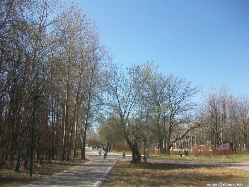 Апрельская прогулка в парке (фото 6)