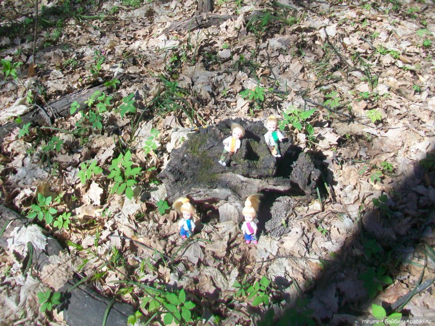 Апрельская прогулка в парке