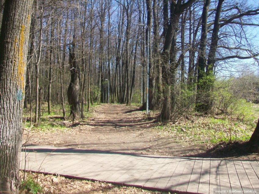 Апрельская прогулка в парке (фото 9)