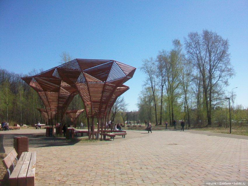 Апрельская прогулка в парке