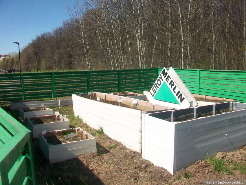 Апрельская прогулка в парке (фото 7)