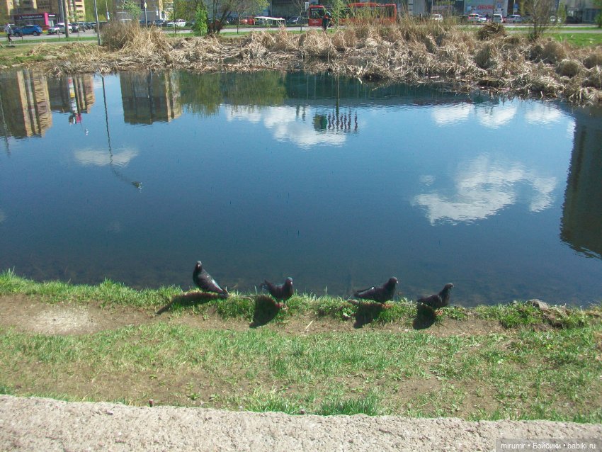 Апрельская прогулка на озеро