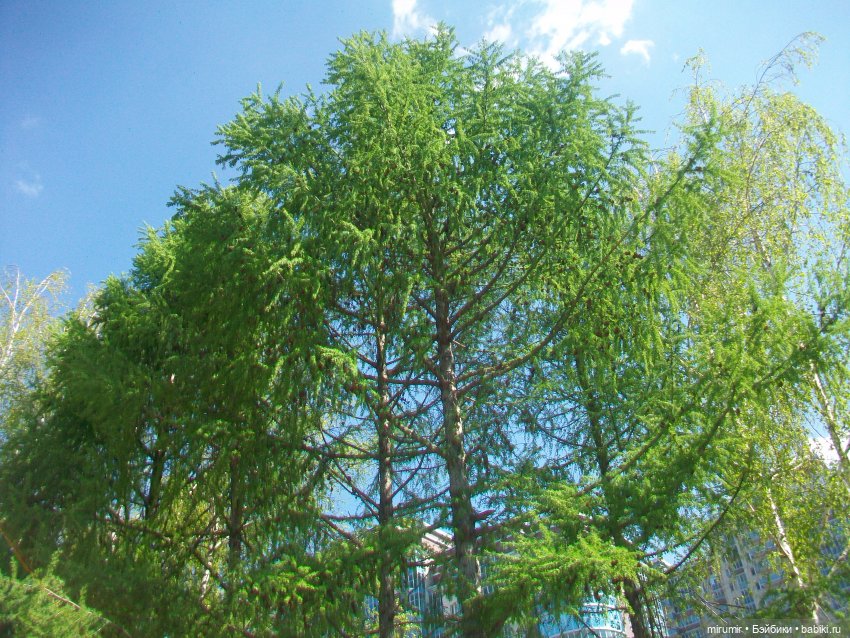 Апрельская прогулка на озеро