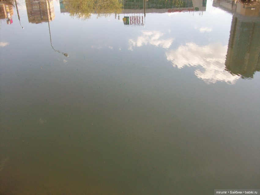 Апрельская прогулка на озеро (фото 6)