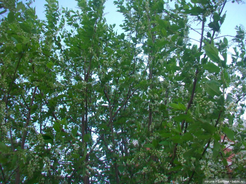 Апрельская прогулка на озеро (фото 2)