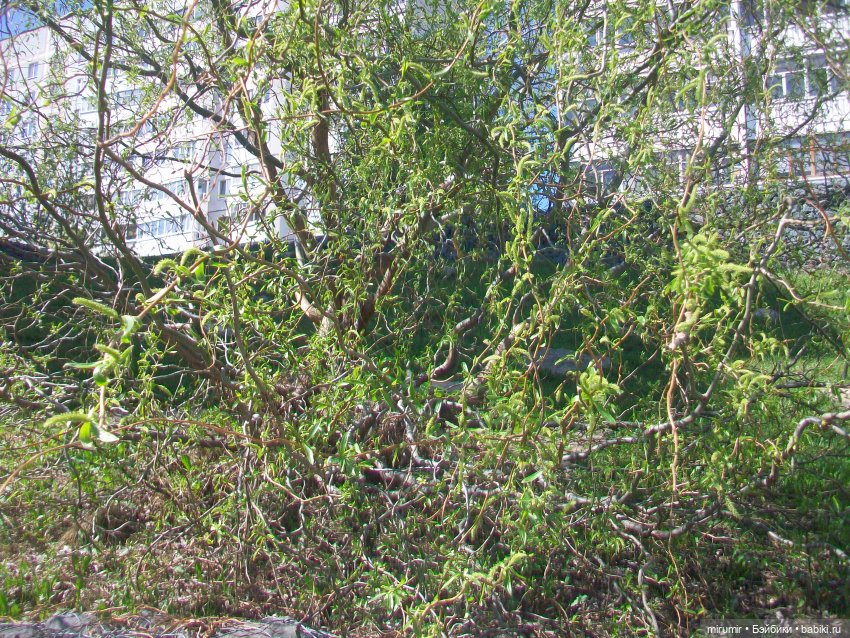 Апрельская прогулка на озеро