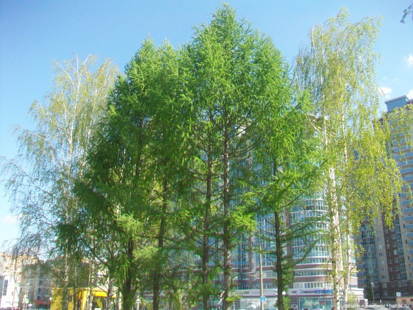 Апрельская прогулка на озеро