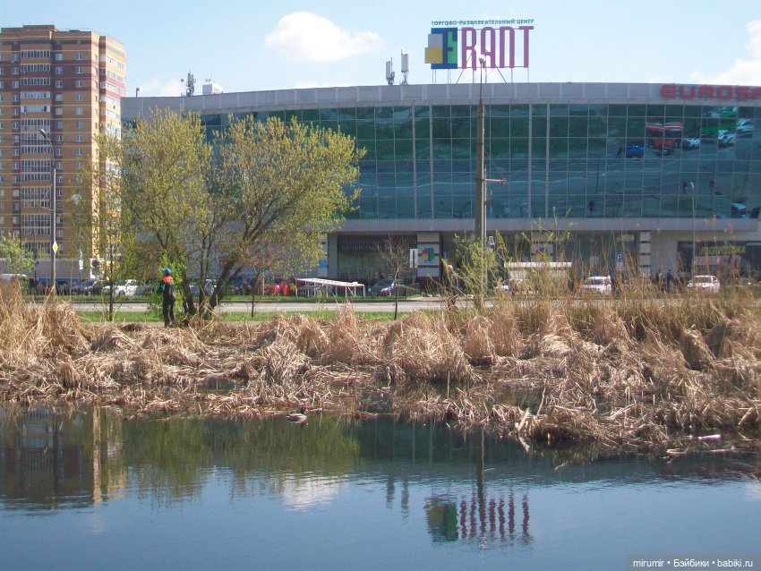 Апрельская прогулка на озеро (фото 5)