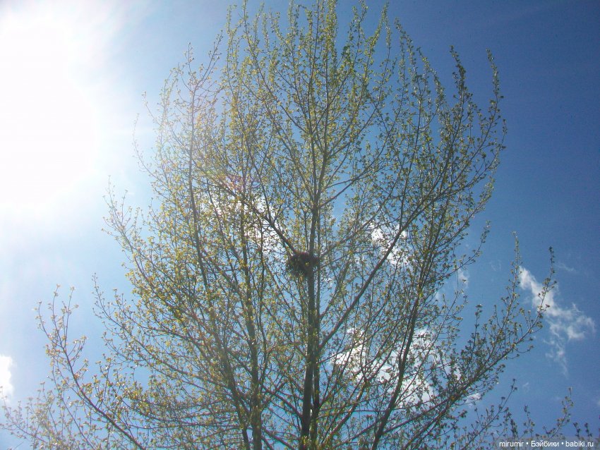 Апрельская прогулка на озеро