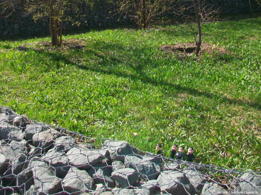 Апрельская прогулка на озеро