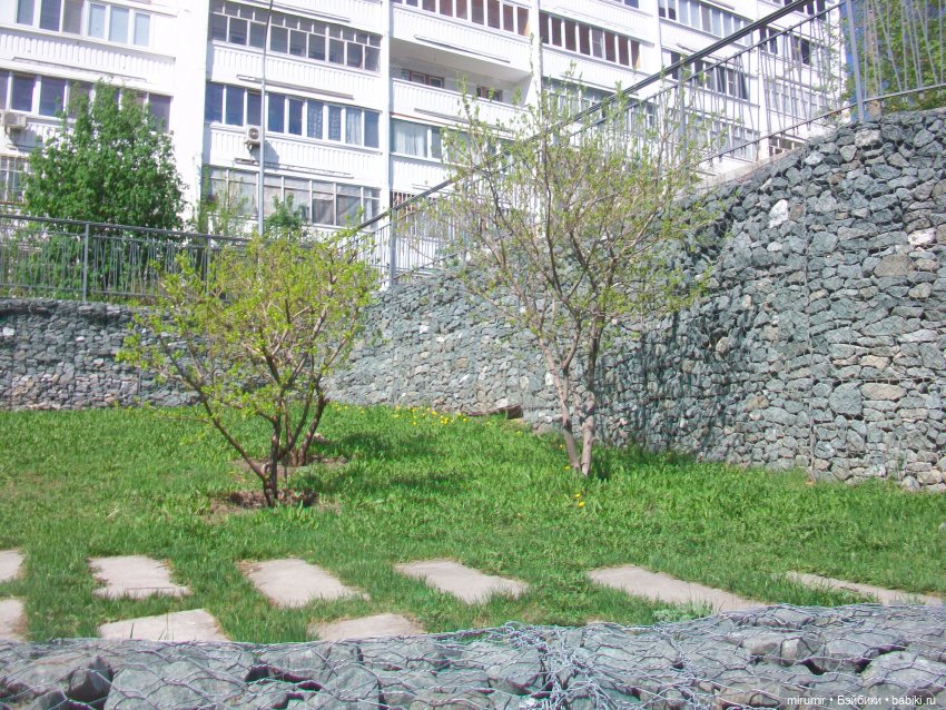 Апрельская прогулка на озеро (фото 7)