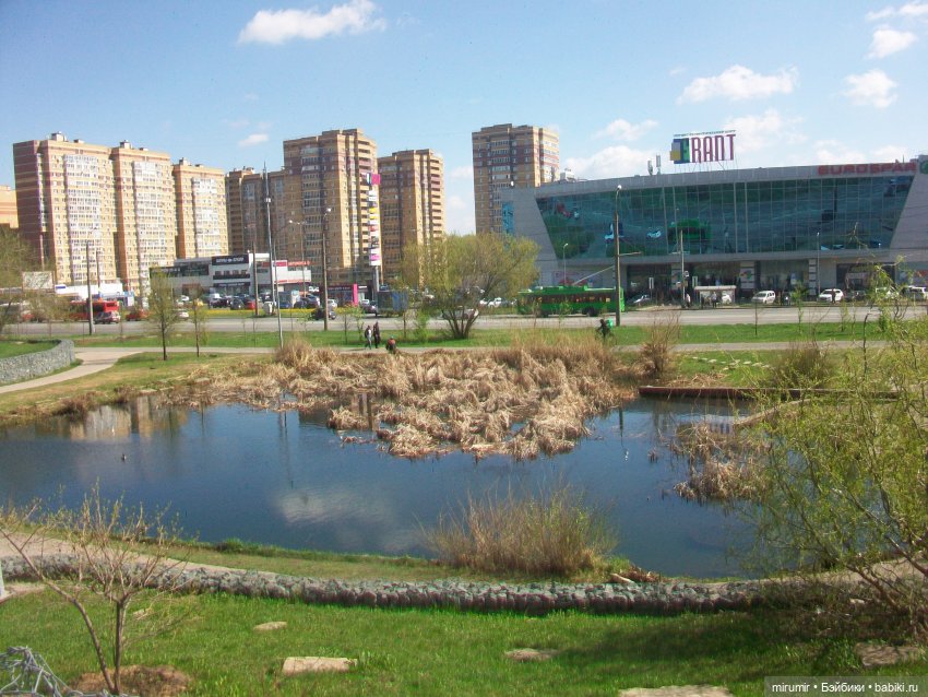 Апрельская прогулка на озеро (фото 4)