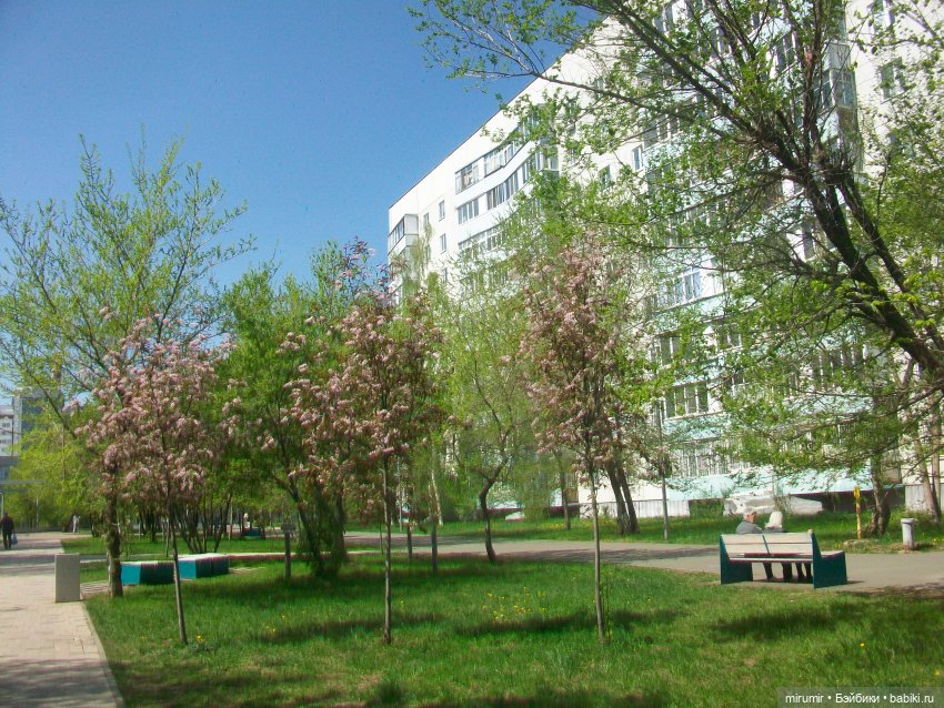 Апрельская прогулка по бульвару "Домашний"