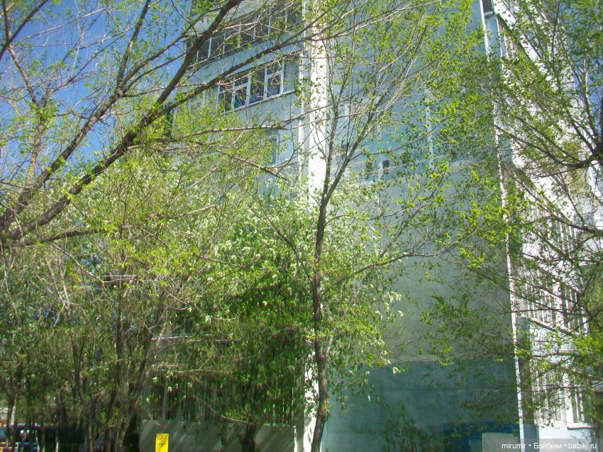 Апрельская прогулка по бульвару "Домашний"