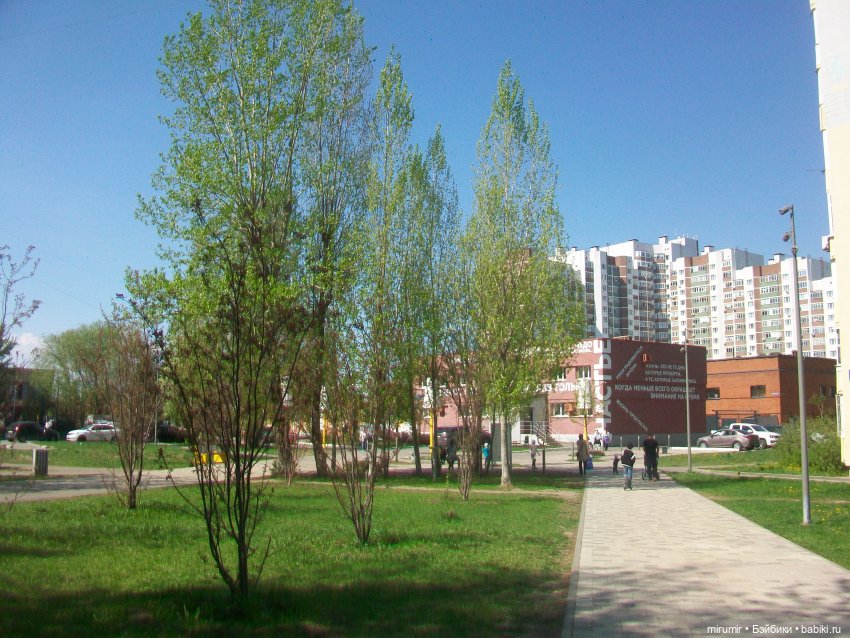 Апрельская прогулка по бульвару "Домашний"