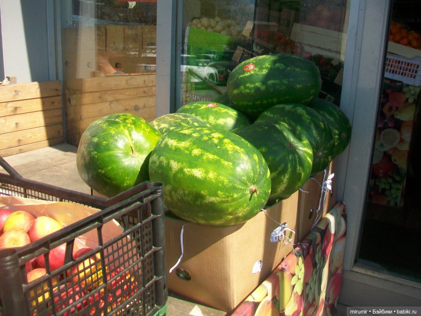 Апрельская прогулка по бульвару "Домашний"