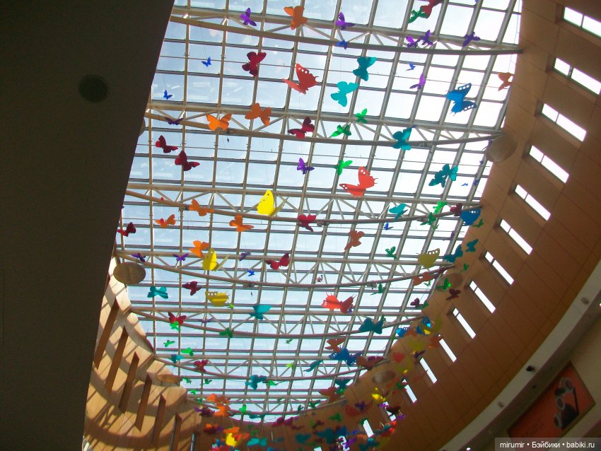 Как мы ходили по магазинам (фото 10)