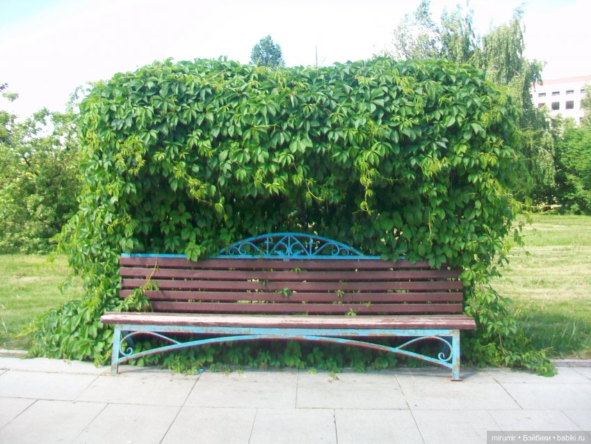 Парк Тысячелетия в Казани