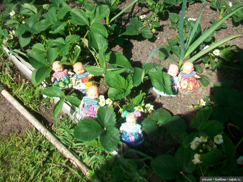 Майская поездка на дачу — Игровые куклы разных производителей (Разное): редкие бренды