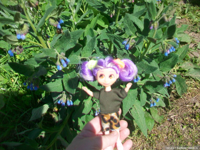 Майская поездка на дачу — Игровые куклы разных производителей (Разное): редкие бренды