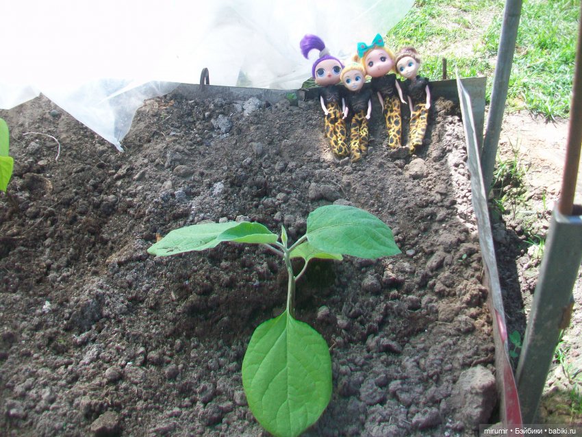 Майская поездка на дачу — Игровые куклы разных производителей (Разное): редкие бренды (фото 6)