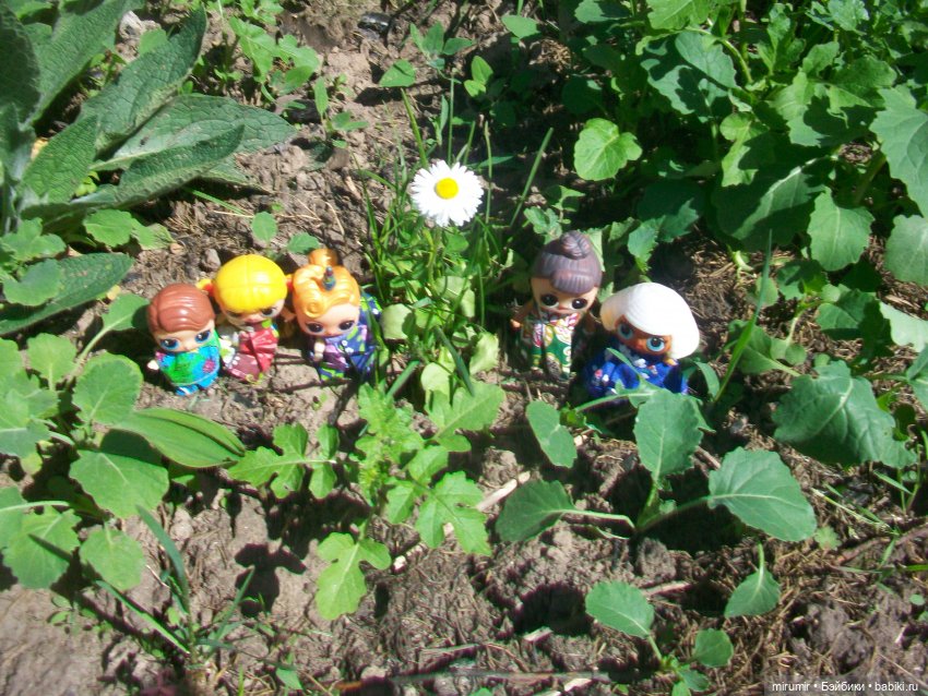 Майская поездка на дачу — Игровые куклы разных производителей (Разное): редкие бренды (фото 7)