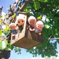 Майская поездка на дачу