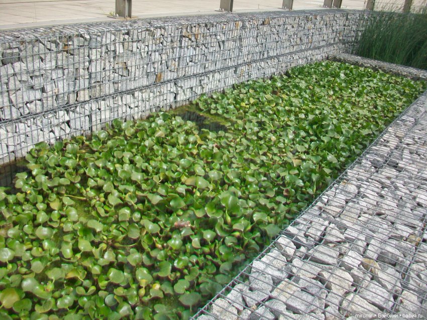 Озеро Кабан в Казани — Игровые куклы разных производителей (Разное): редкие бренды