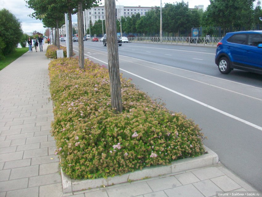 Озеро Кабан в Казани — Игровые куклы разных производителей (Разное): редкие бренды