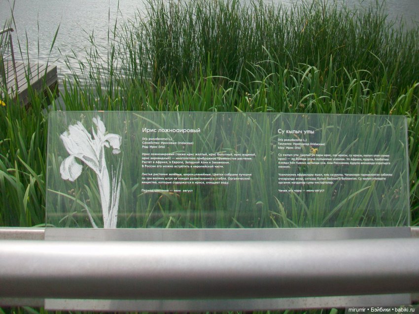 Озеро Кабан в Казани — Игровые куклы разных производителей (Разное): редкие бренды