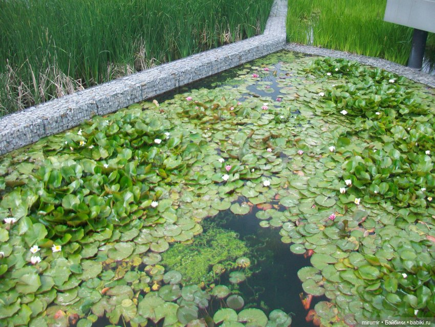 Озеро Кабан в Казани — Игровые куклы разных производителей (Разное): редкие бренды (фото 4)