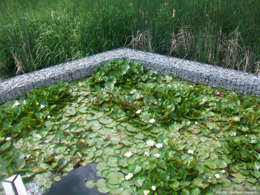 Озеро Кабан в Казани — Игровые куклы разных производителей (Разное): редкие бренды (фото 3)