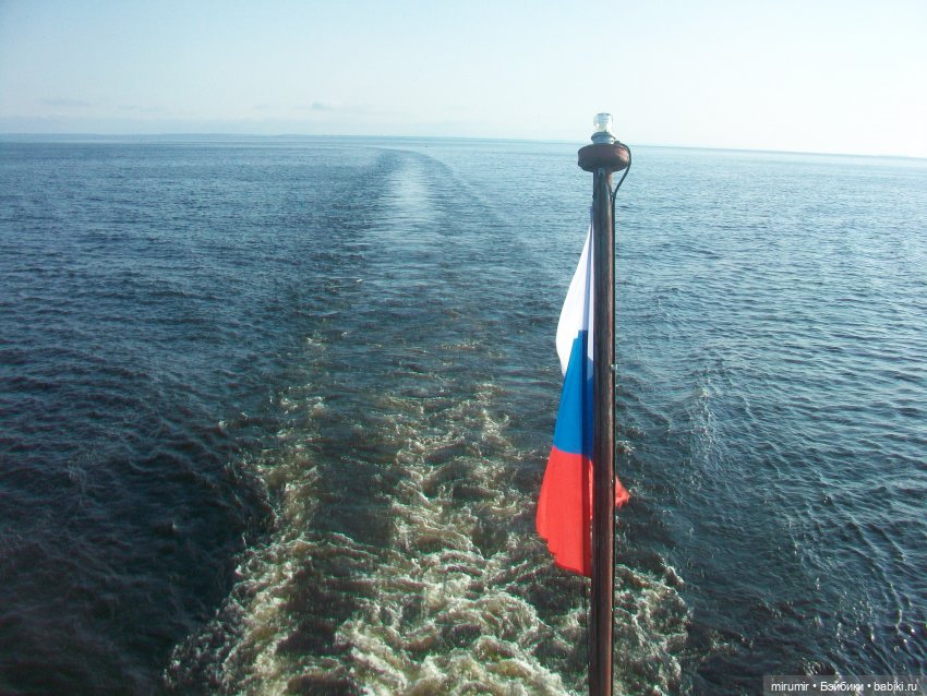 Волжский круиз - 2023 — Игровые куклы разных производителей (Разное): редкие бренды