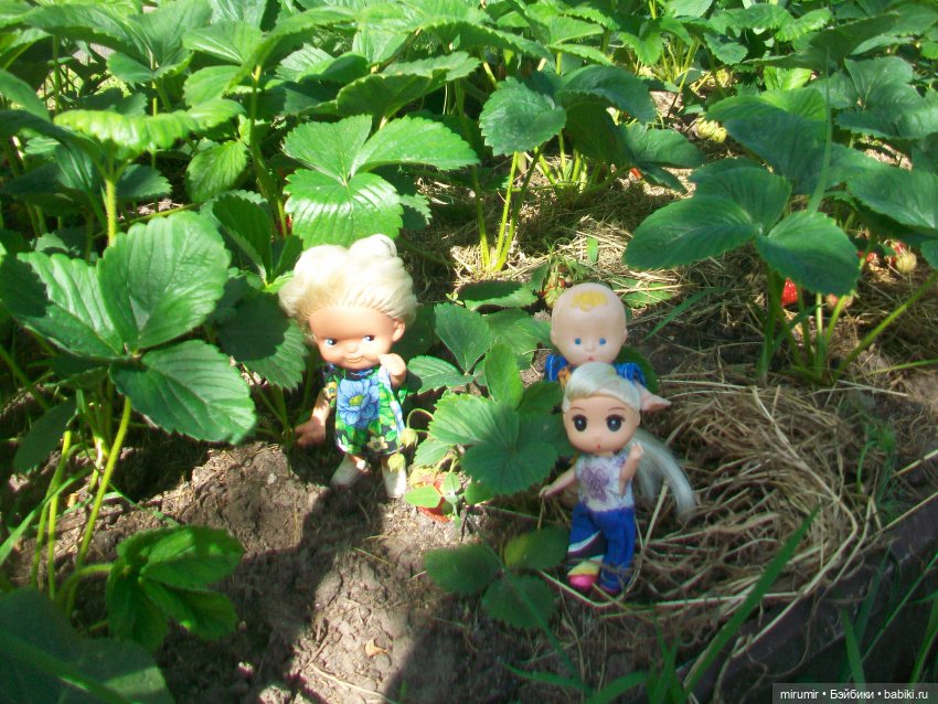 Летние поездки на дачу - 1