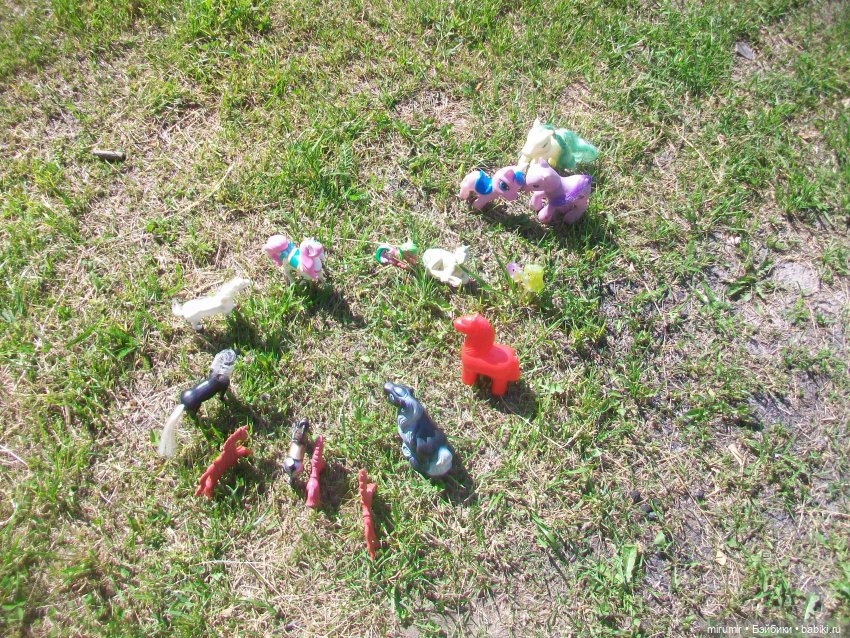 Летние поездки на дачу - 1 (фото 10)