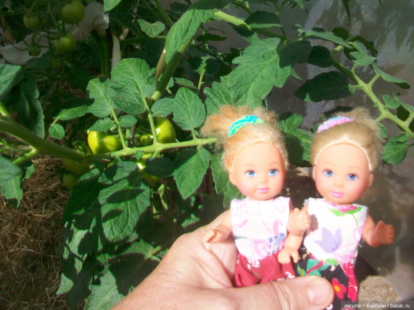 Летние поездки на дачу - 1