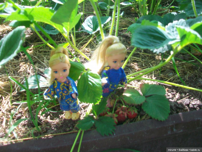 Летние поездки на дачу - 1