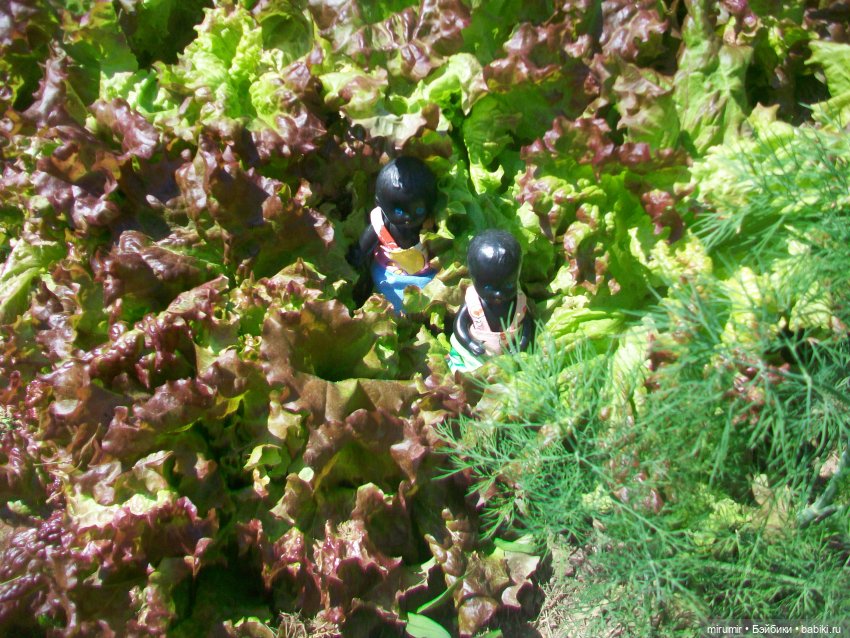 Летние поездки на дачу - 1 (фото 5)