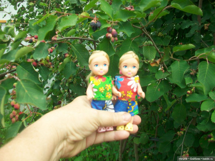 Летние поездки на дачу - 1