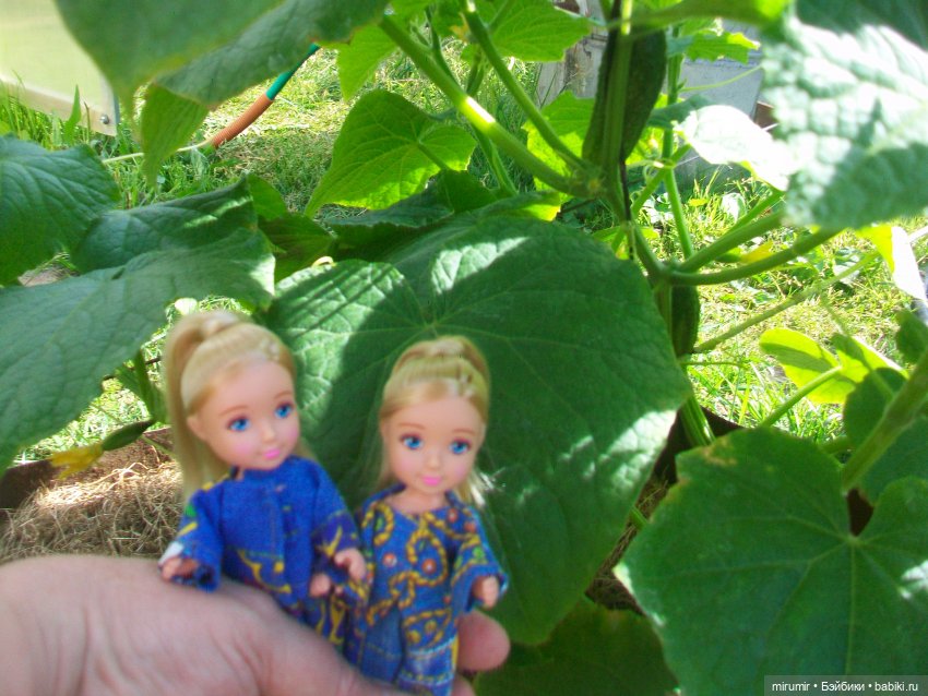 Летние поездки на дачу - 1