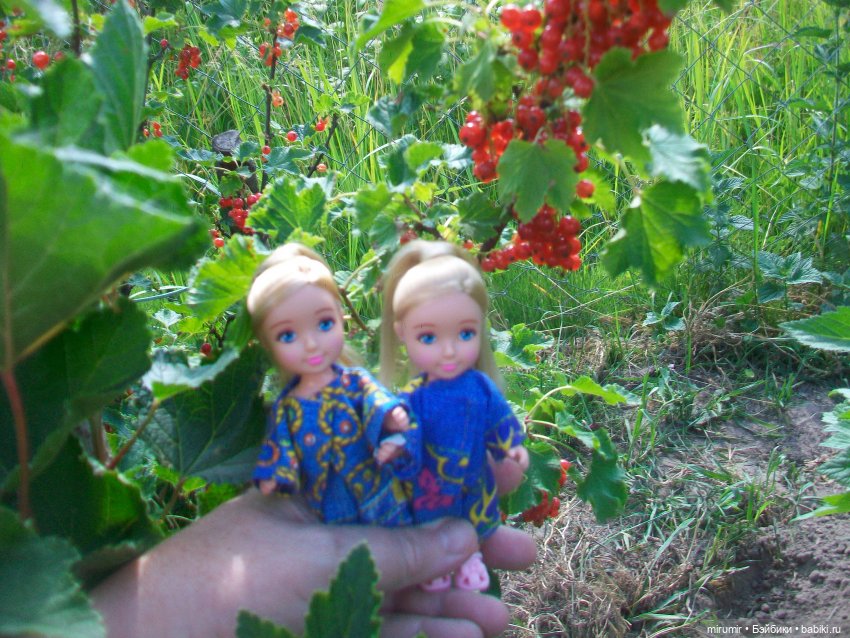 Летние поездки на дачу - 1