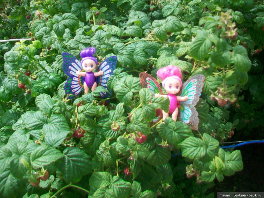 Летние поездки на дачу - 1