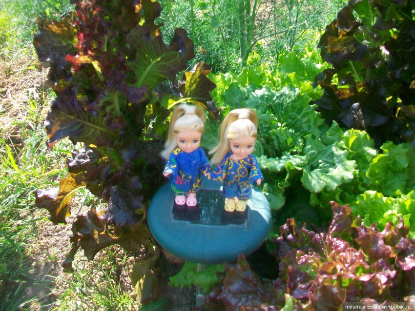 Летние поездки на дачу - 1