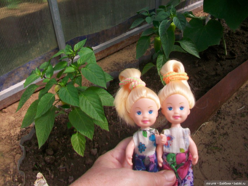 Летние поездки на дачу - 1