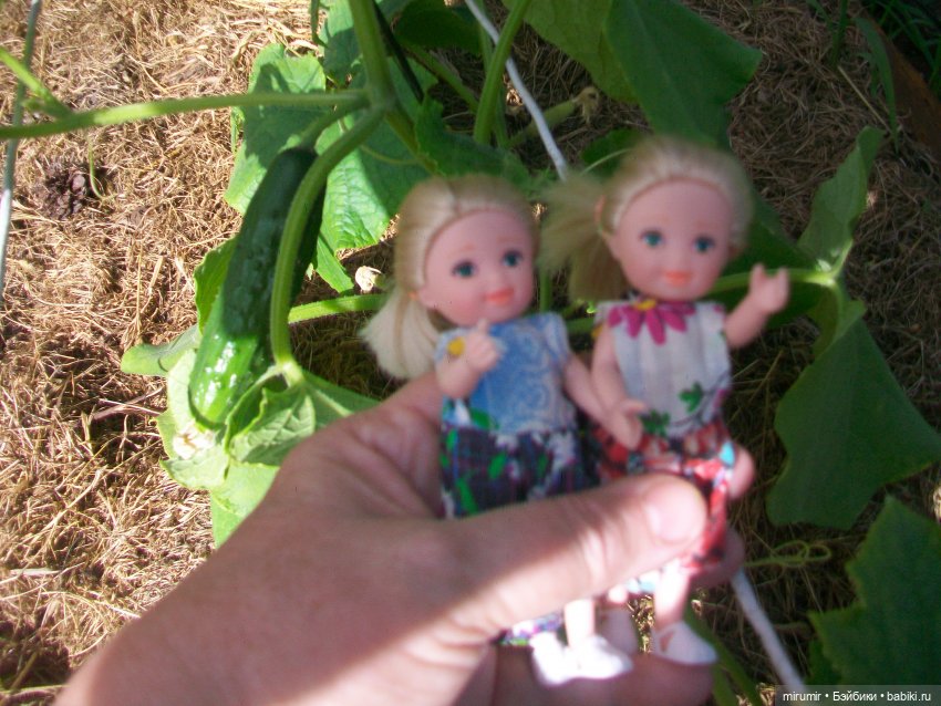 Летние поездки на дачу - 1