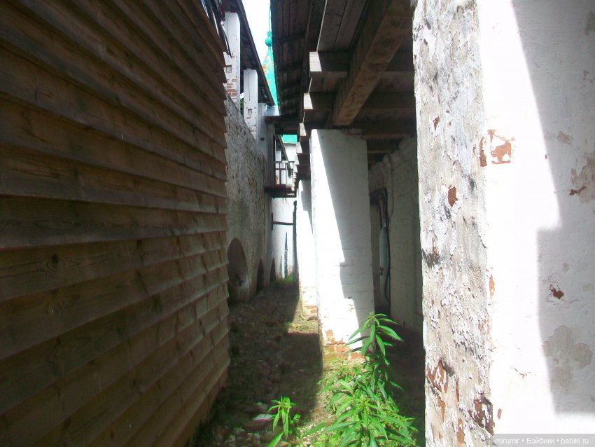 Кострома - 2023 — Игровые куклы разных производителей (Разное): редкие бренды