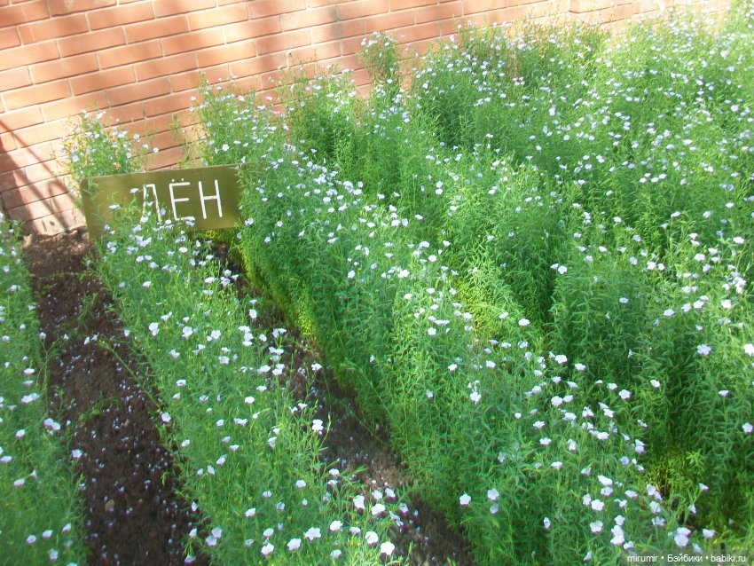 Кострома - 2023 — Игровые куклы разных производителей (Разное): редкие бренды