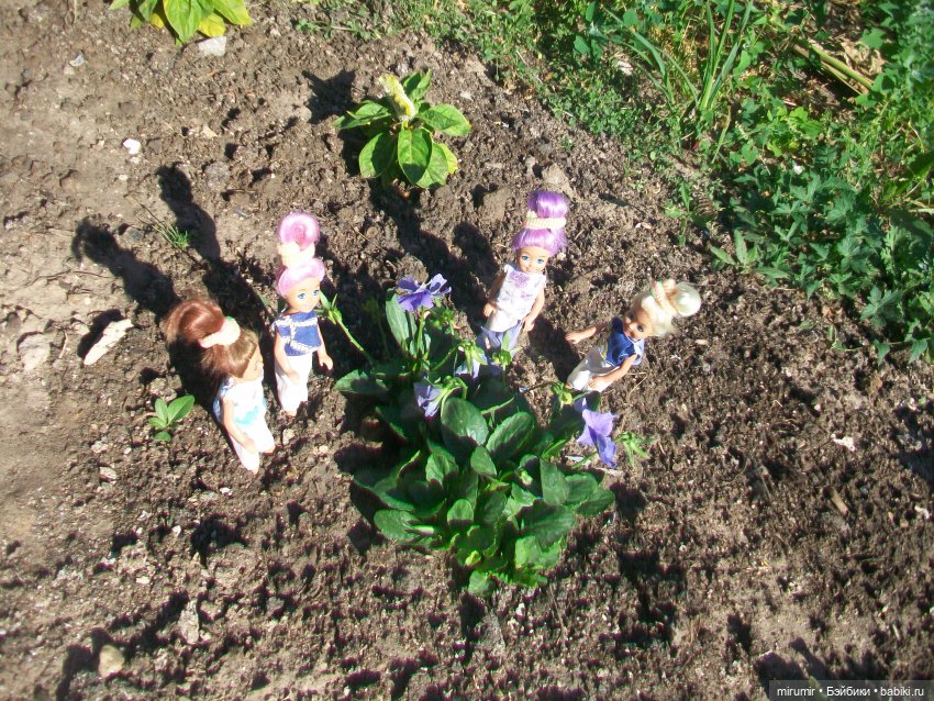 Летние поездки на дачу - 2 (фото 5)